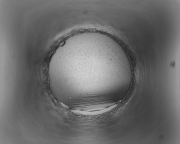 X0000116311494200912211911