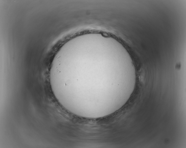 X0000116311495200912211911