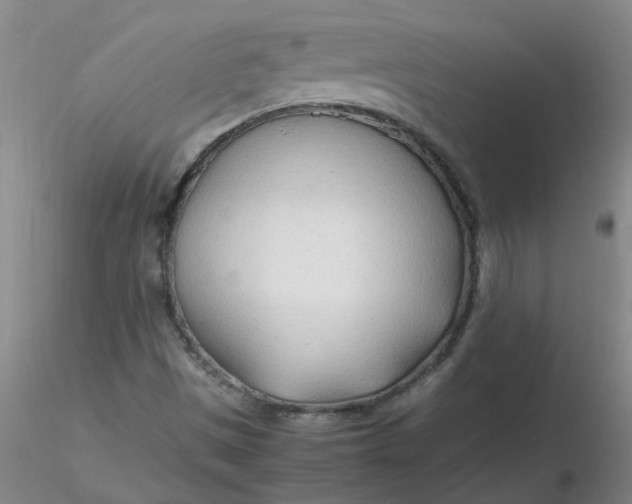 X0000116311497200912211911