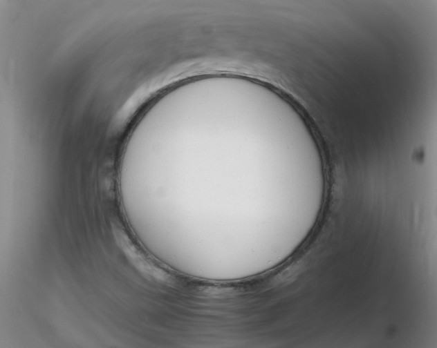 X0000116311499200912211911