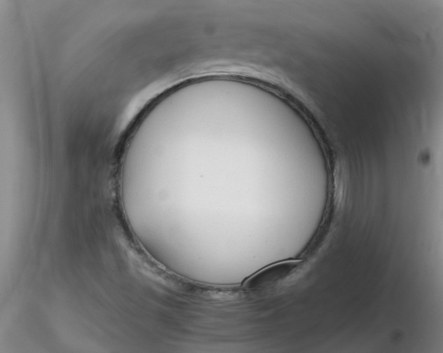 X0000116311501200912211911