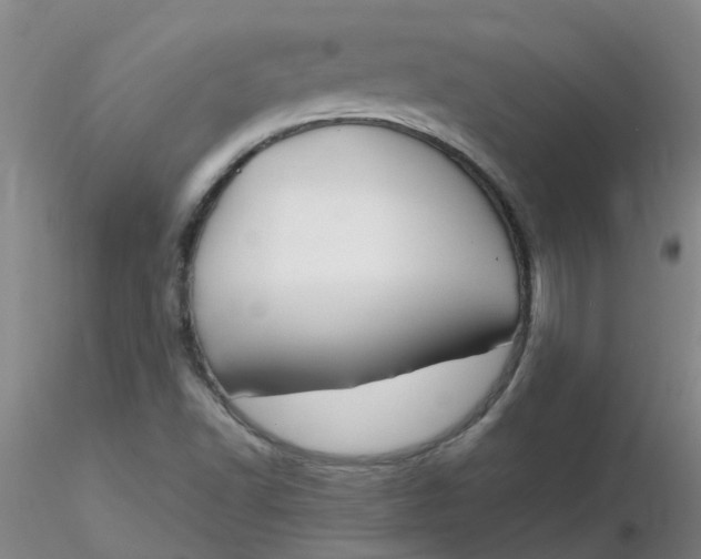 X0000116311502200912211911