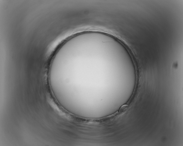 X0000116311503200912211911