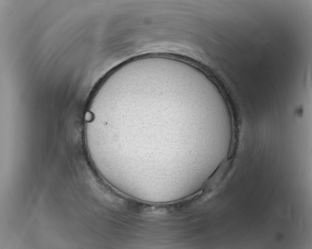 X0000116311505200912211911