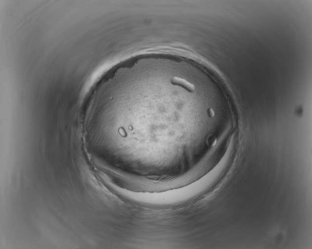 X0000116311506200912211911