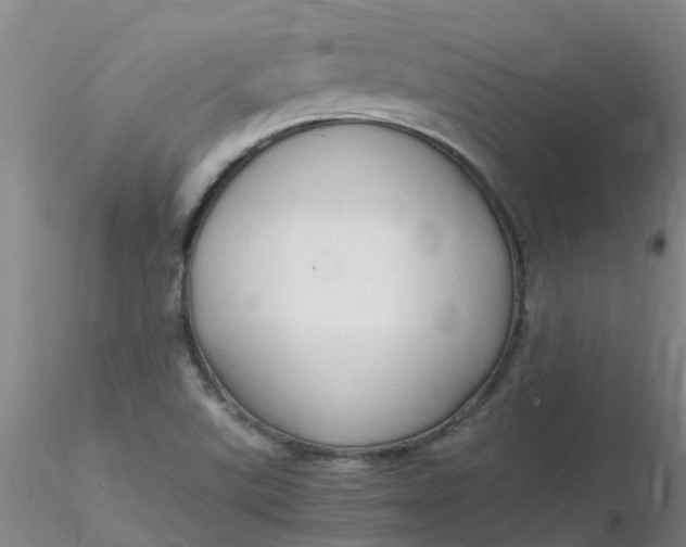 X0000116311507200912211911