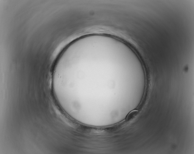 X0000116311509200912211911