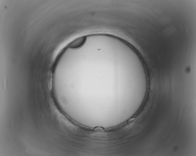 X0000116311510200912211911