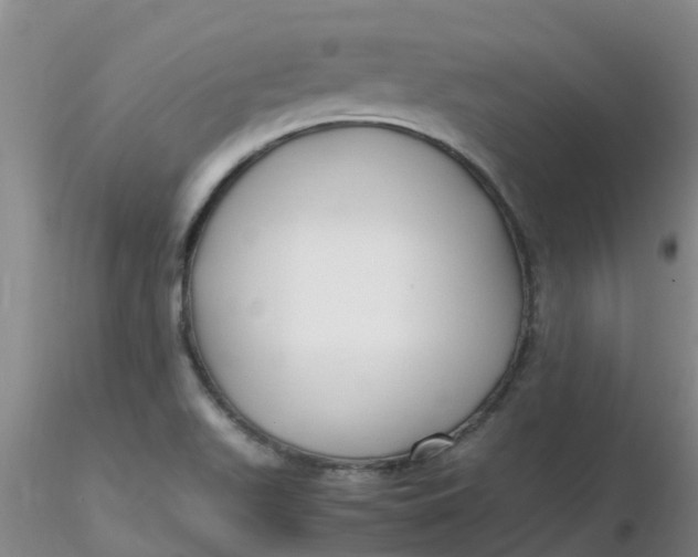 X0000116311511200912211911