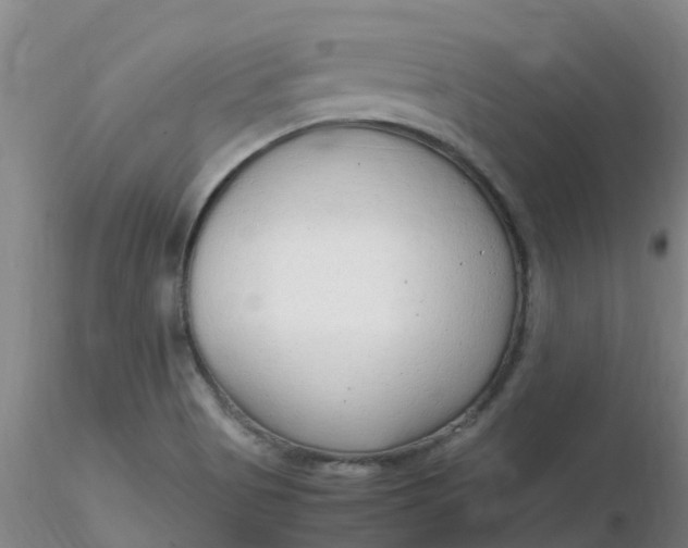 X0000116311513200912211911