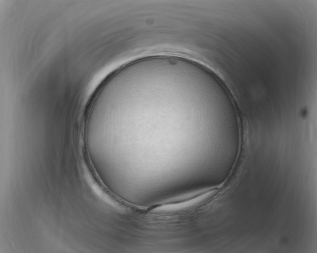 X0000116311515200912211911