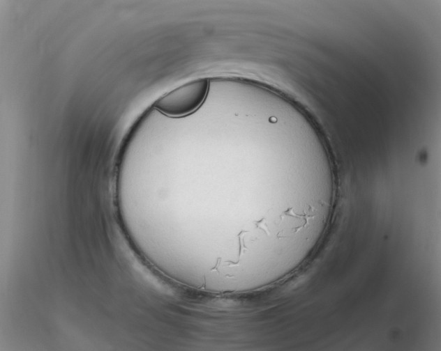 X0000116311517200912211911