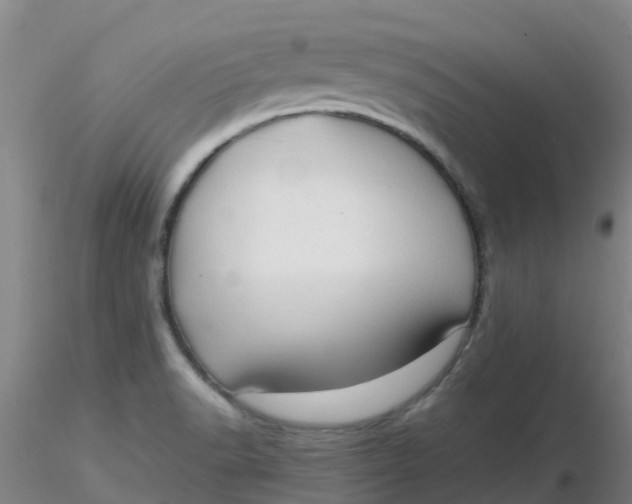 X0000116311518200912211912