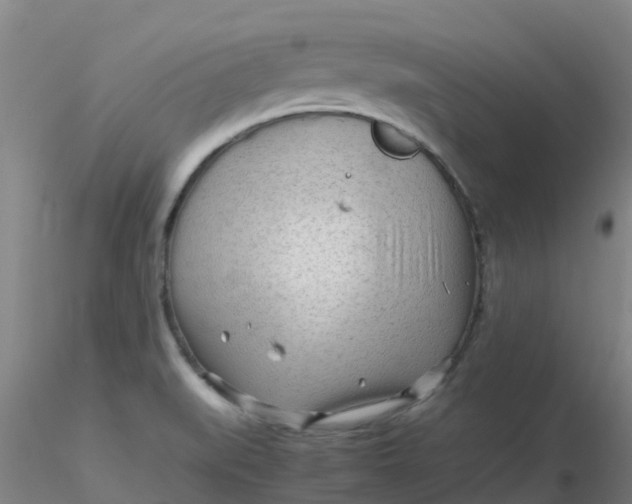 X0000116311519200912211912