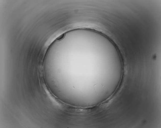 X0000116311521200912211912