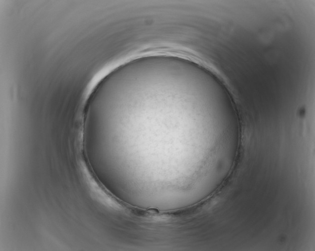 X0000116311522200912211912