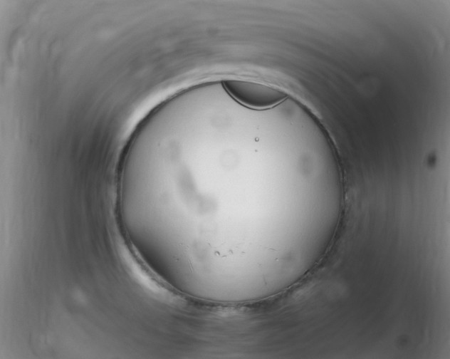 X0000116311523200912211912