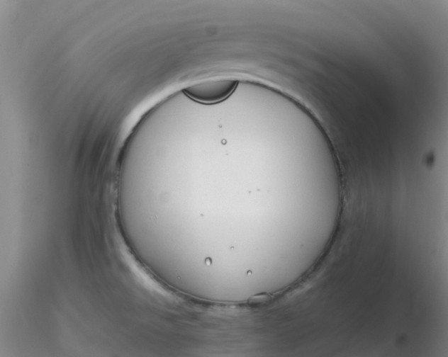 X0000116311526200912211912