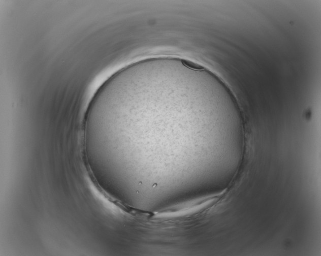 X0000116311527200912211912