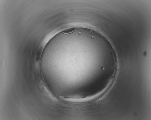 X0000116311529200912211912