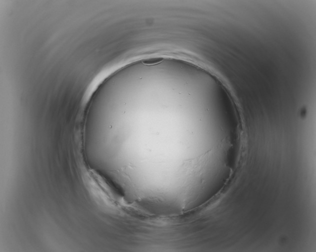 X0000116311530200912211912