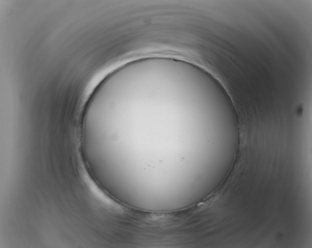 X0000116311531200912211912