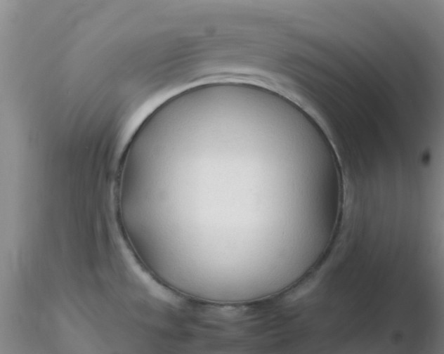 X0000116311533200912211912