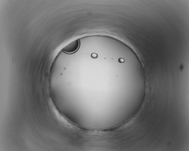 X0000116311534200912211912