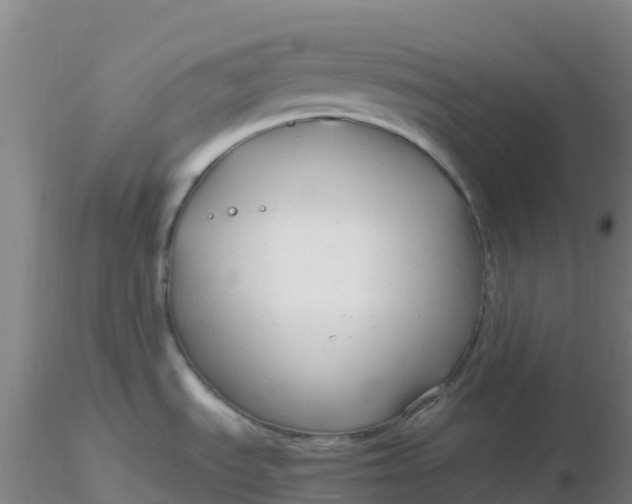 X0000116311535200912211912