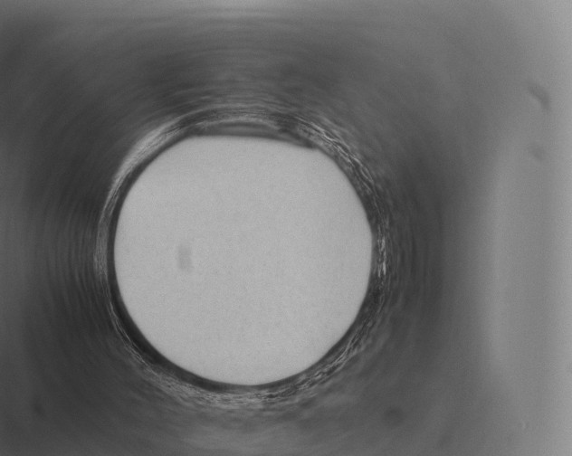 X0000116310004200912291500