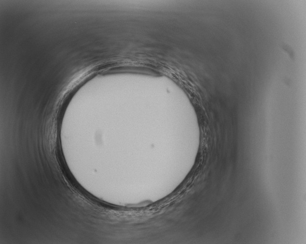 X0000116310005200912291500