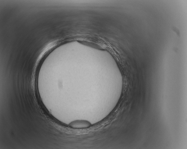 X0000116310006200912291500