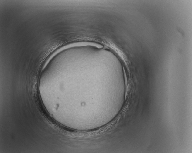 X0000116310009200912291500