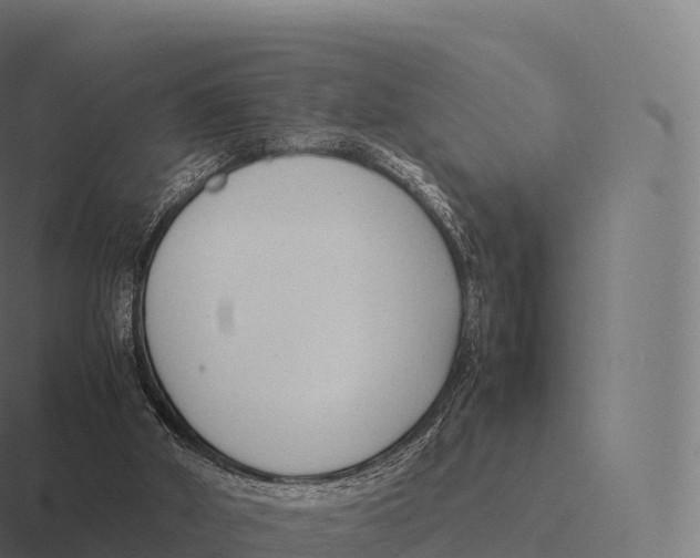 X0000116310010200912291500