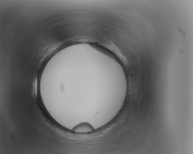 X0000116310014200912291500