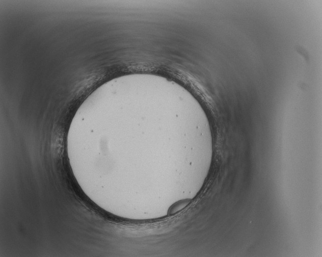 X0000116310017200912291500