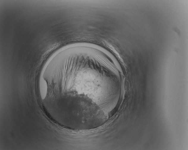 X0000116310019200912291500