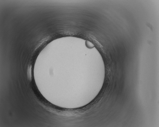 X0000116310020200912291500