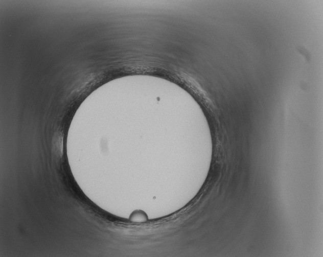 X0000116310021200912291500