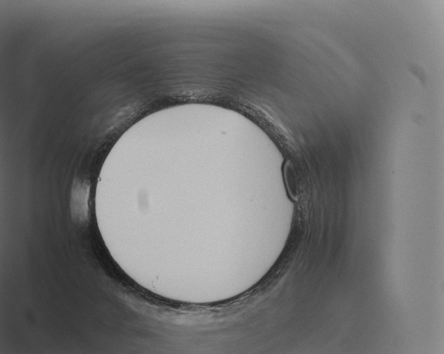 X0000116310024200912291500