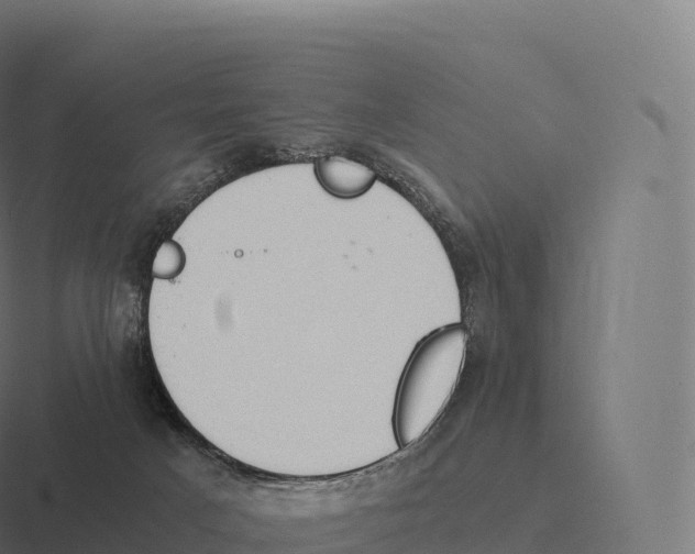 X0000116310025200912291500