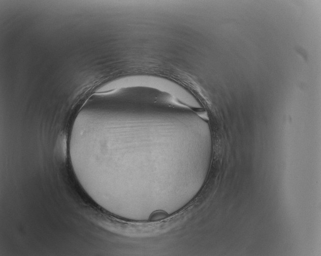 X0000116310027200912291500