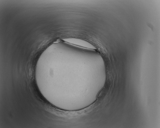 X0000116310031200912291500