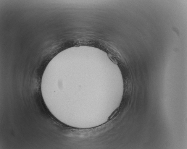 X0000116310033200912291500