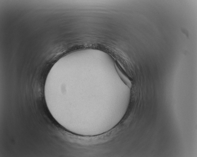 X0000116310039200912291500