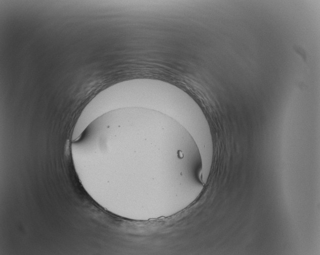 X0000116310041200912291459