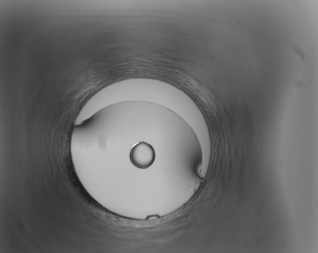 X0000116310043200912291459