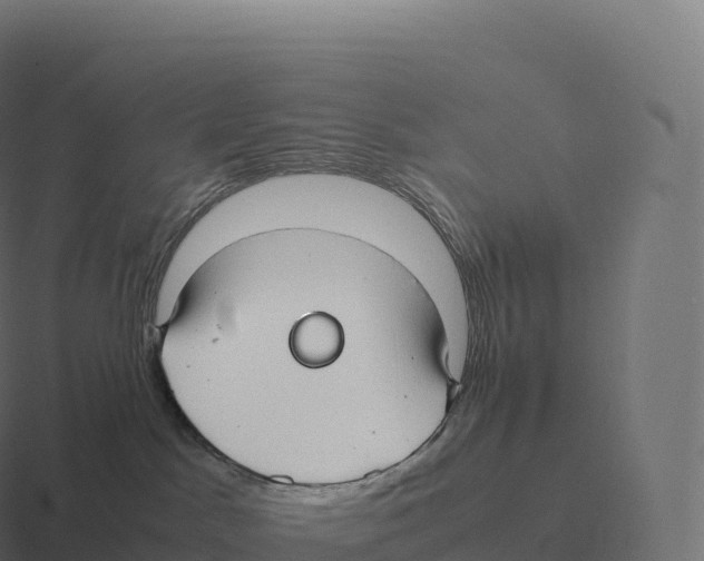 X0000116310045200912291459