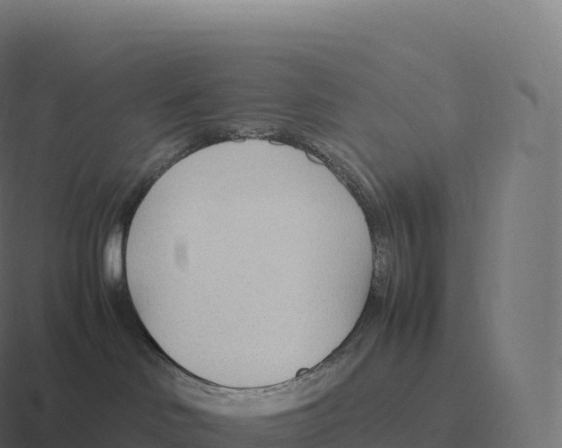 X0000116310046200912291459