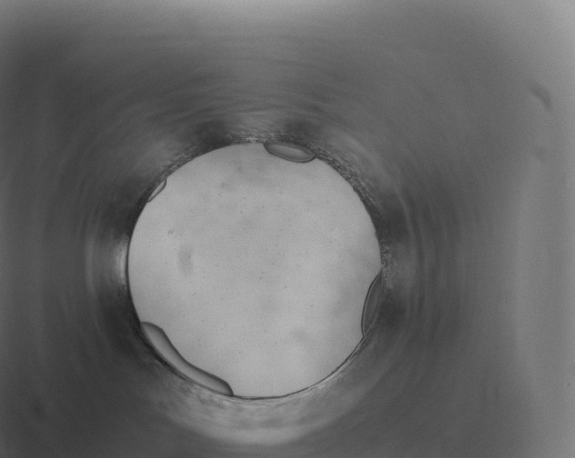 X0000116310047200912291459